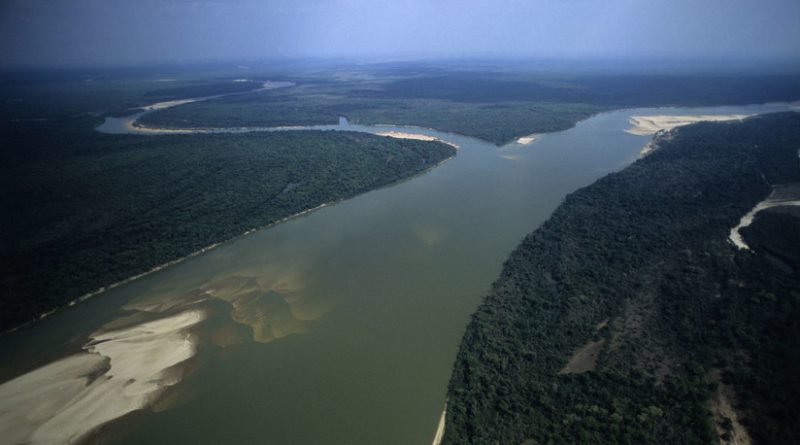 Decenas de geoglifos revelan una civilización perdida en plena Amazonia