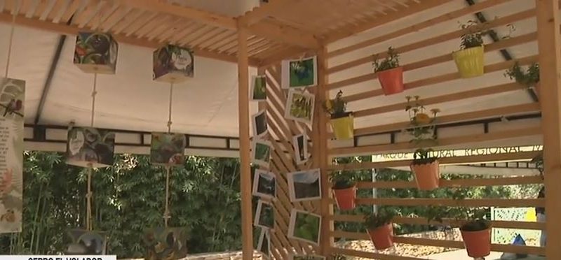 Medellín, única ciudad del país con política de biodiversidad