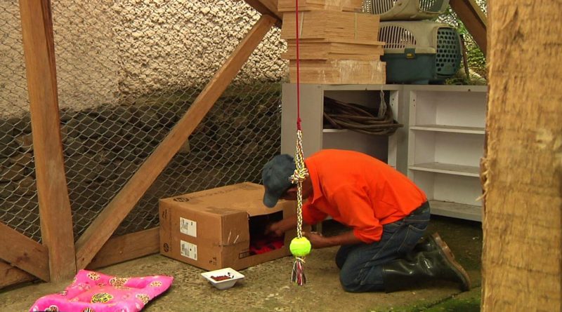 Don Pedro lleva 23 años cuidando el Jardín Botánico