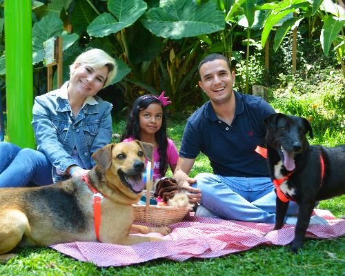 Hasta el 3 de marzo podrá adoptar una mascota en el Centro Comercial Santafé