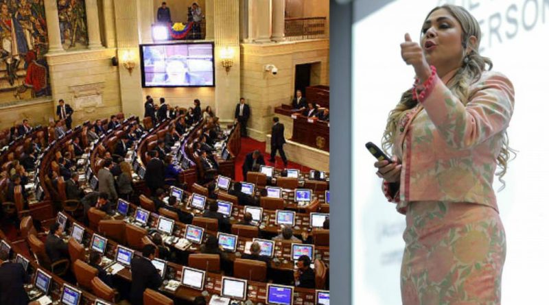 Los 5 retos que trazó Carolina Carrillo para 2019 en la Cámara de Representantes