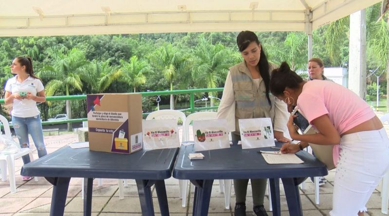 Habitantes de Altavista ejercen voto para escoger el diseño de nomenclatura