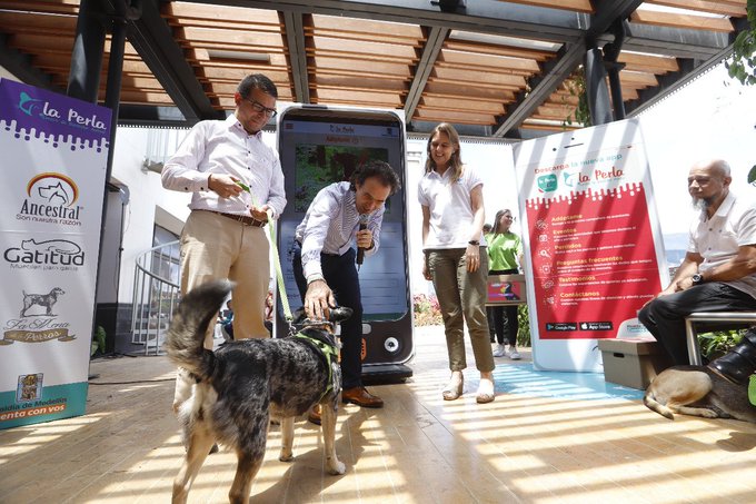 La Perla estrena APP para adopción de perros y gatos