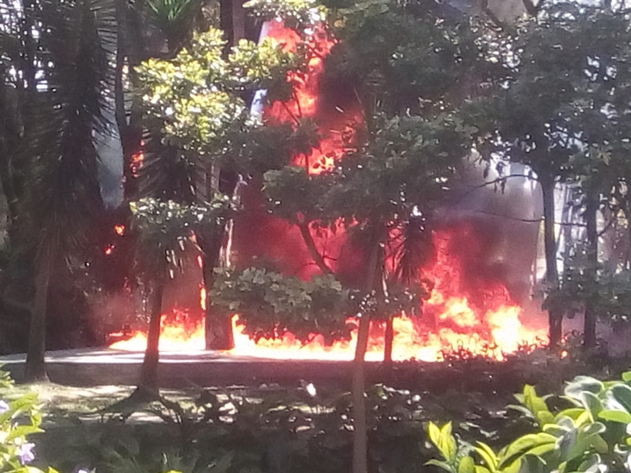 Fuerte incendio en las inmediaciones de la Unidad Deportiva Atanasio Girardot