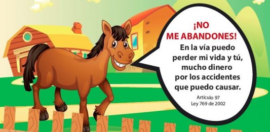 Nuevo Cauca lucha por el cuidado de las especies animales