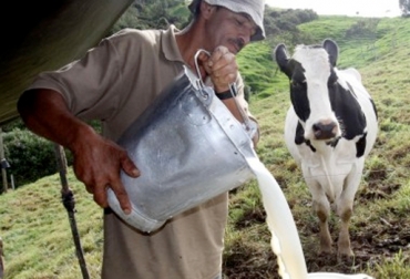 Calidad de la leche, otra bondad del sector ganadero: Hernando Sánchez Sierra