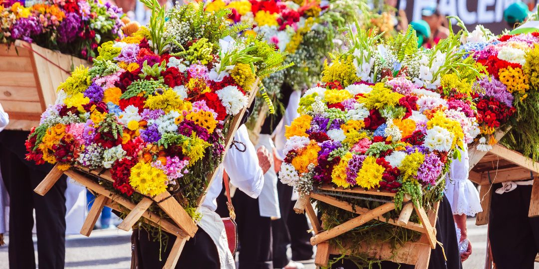 Campesinos de Santa Elena no perderán sus flores: Alcaldía de Medellín