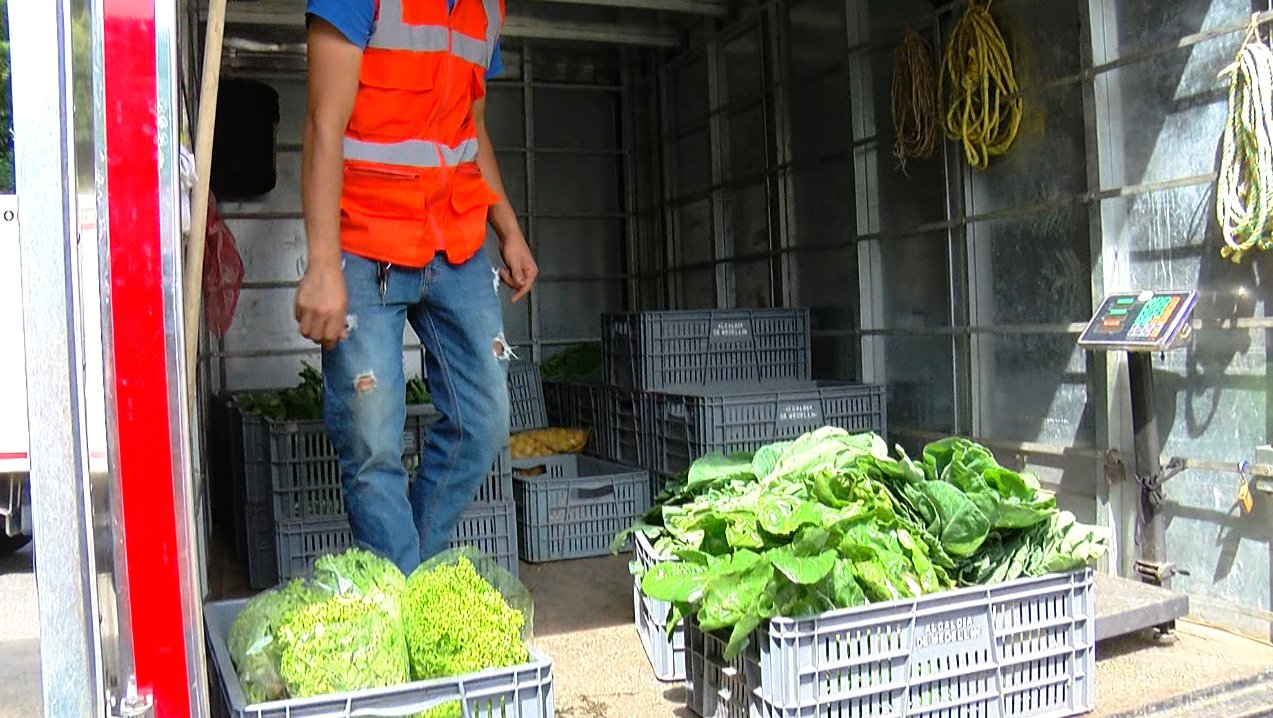 Aprobada política pública agroalimentaria en la ciudad