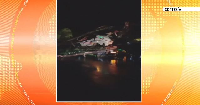 Hombre muere tras caída de un árbol en la autopista Medellín-Bogotá
