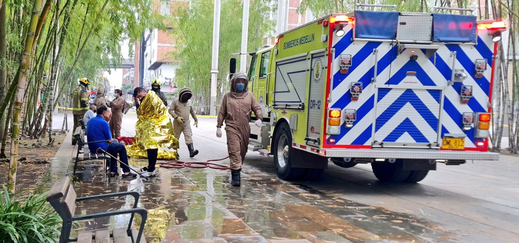 11 lesionados tras ataque de abejas en el centro de Medellín
