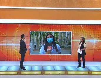 Pedagogía del Plan de Vacunación con Noticias Telemedellín