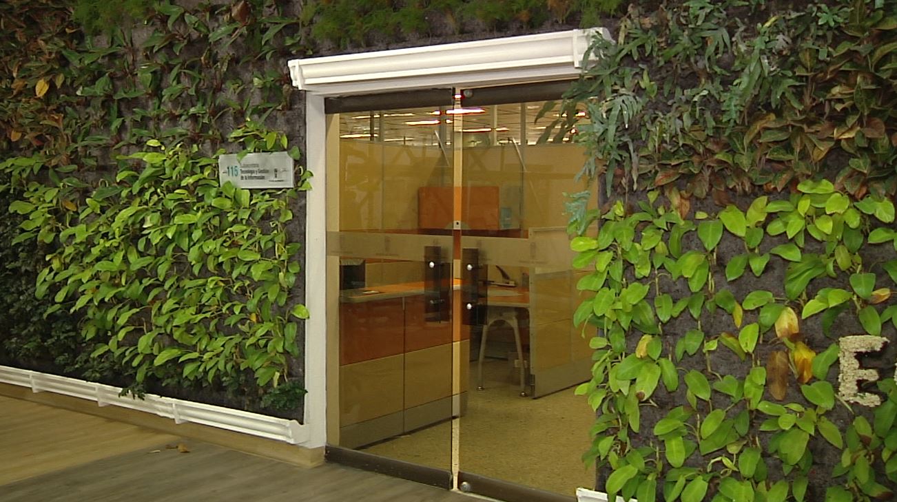 4 jardines verticales serán instalados en la alcaldía y Concejo de Medellín