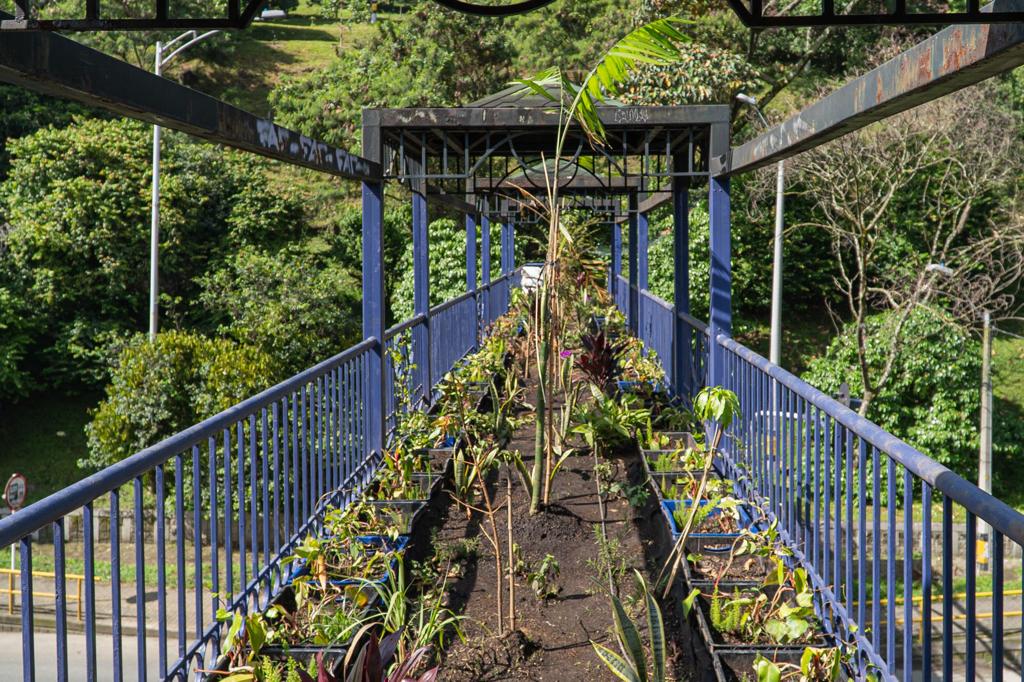En la Calle 33 de Medellín fue instalado un puente ecológico