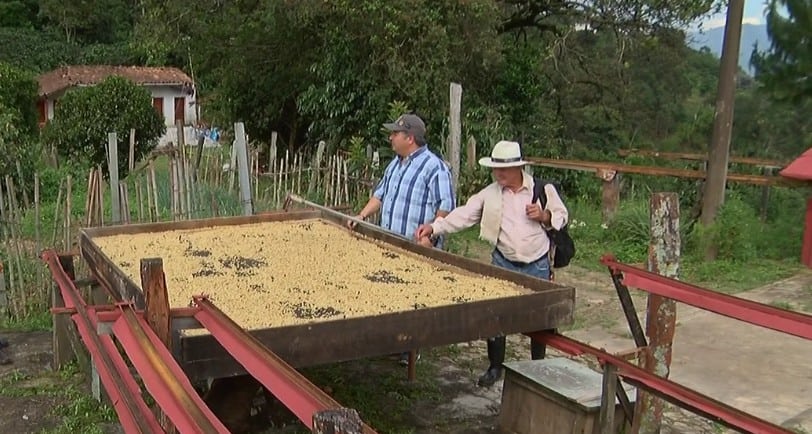 Abren convocatoria para que productores de Medellín se formen en competitividad