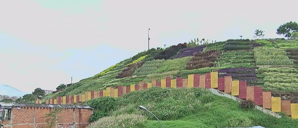 Denuncian que continúa el loteo ilegal del morro de Moravia