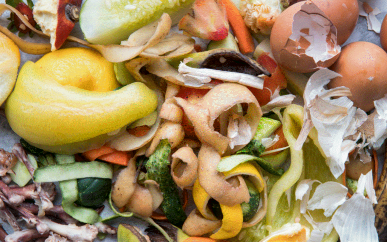Una acción para mejorar la alimentación y el clima: Medellín firmó alianza para reducir el desperdicio de alimentos