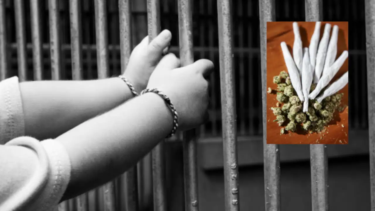 Más de cinco años de prisión para mujer que intentó ingresar marihuana a un detenido en Medellín