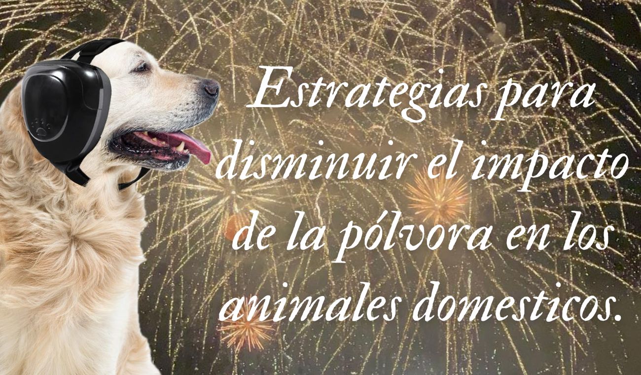 ¿Qué se debe hacer para que los animales no sufran por la pólvora?