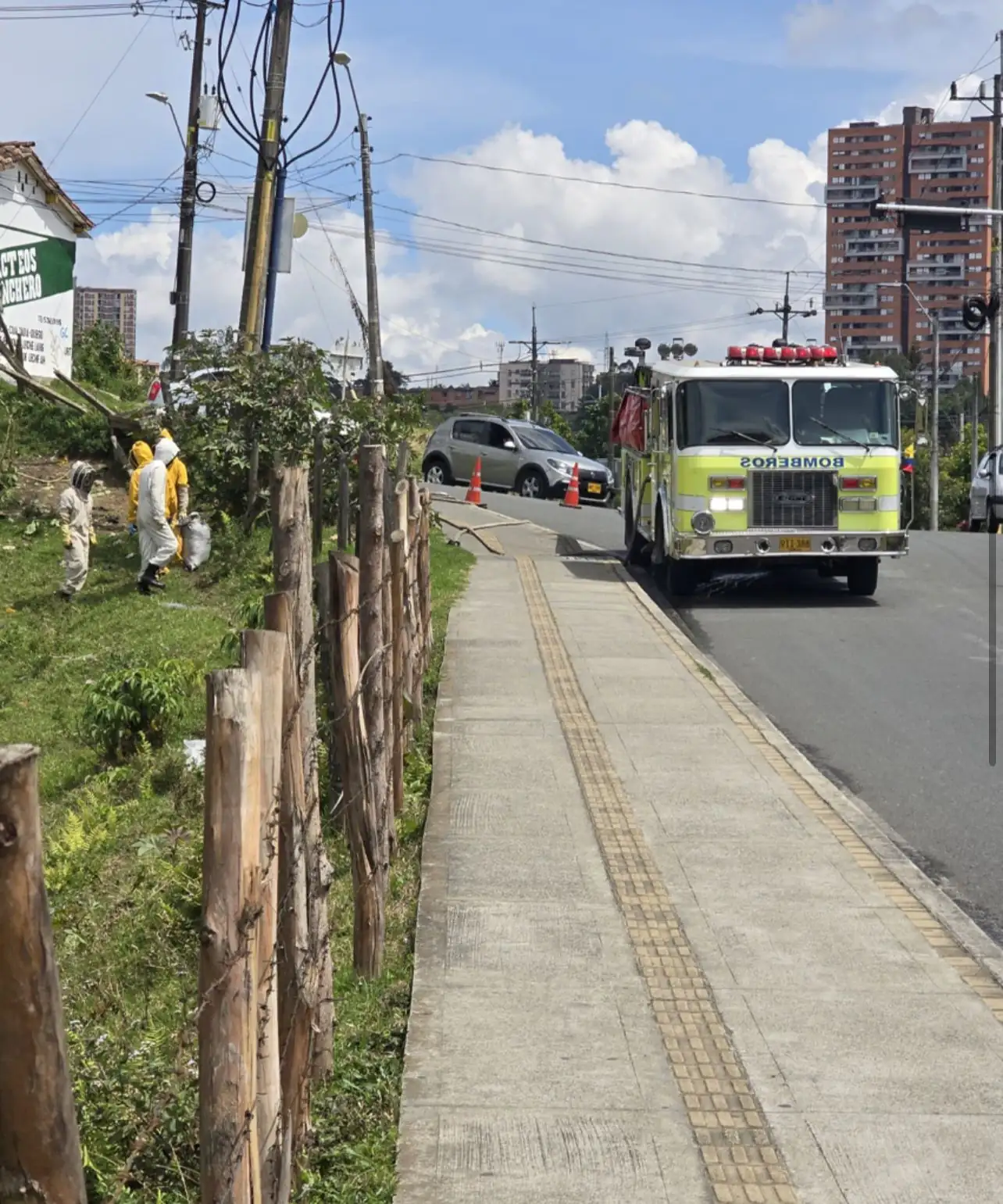Bomberos rescatan a una vaca que estaba siendo atacada por abejas en Rionegro