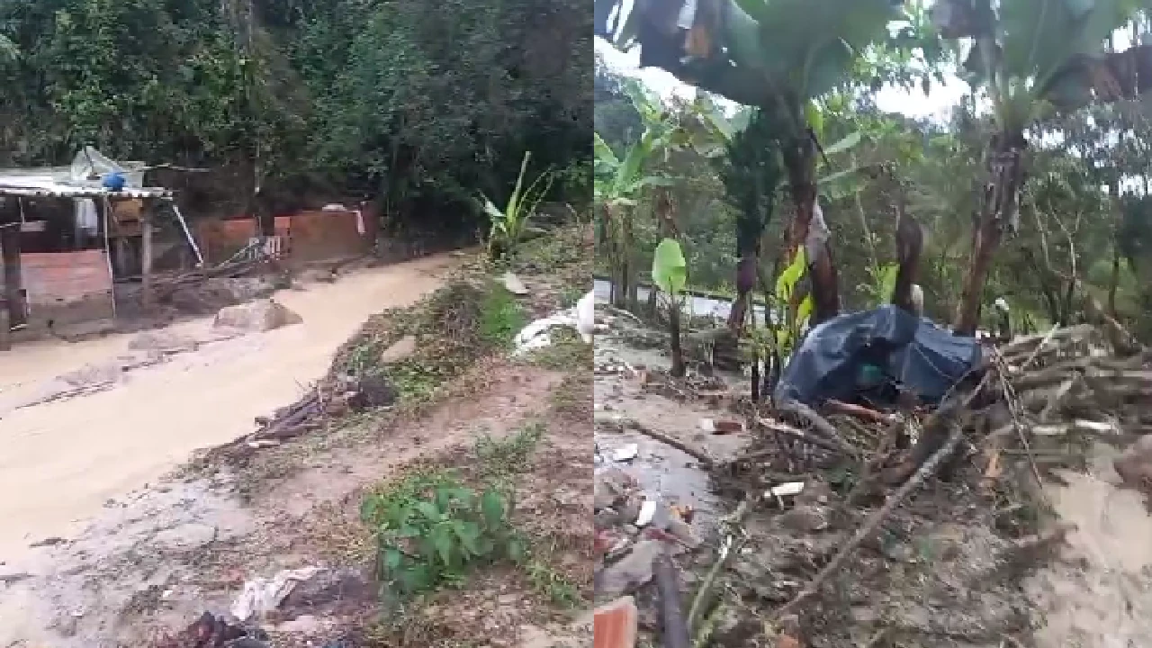 Emergencia en Argelia, Antioquia: precipitaciones de los últimos días han causado 50 deslizamientos en vías terciarias