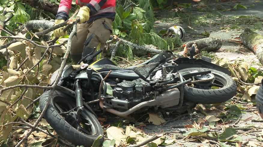 ¿Quién era el hombre que murió por la caída de un árbol en la avenida 33?