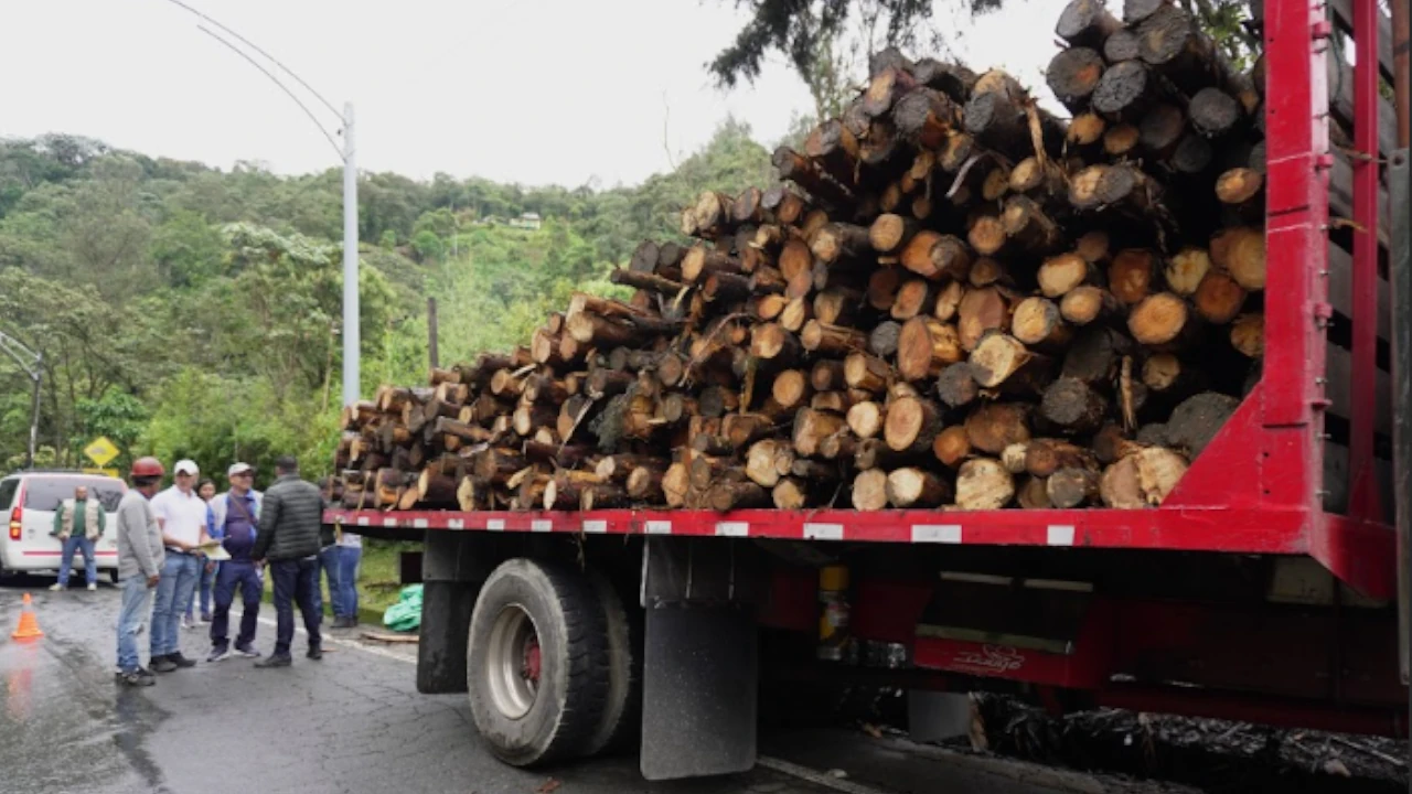 Antioquia 5° departamento del país con mayor deforestación: incautan 30 metros cúbicos de madera ilegal