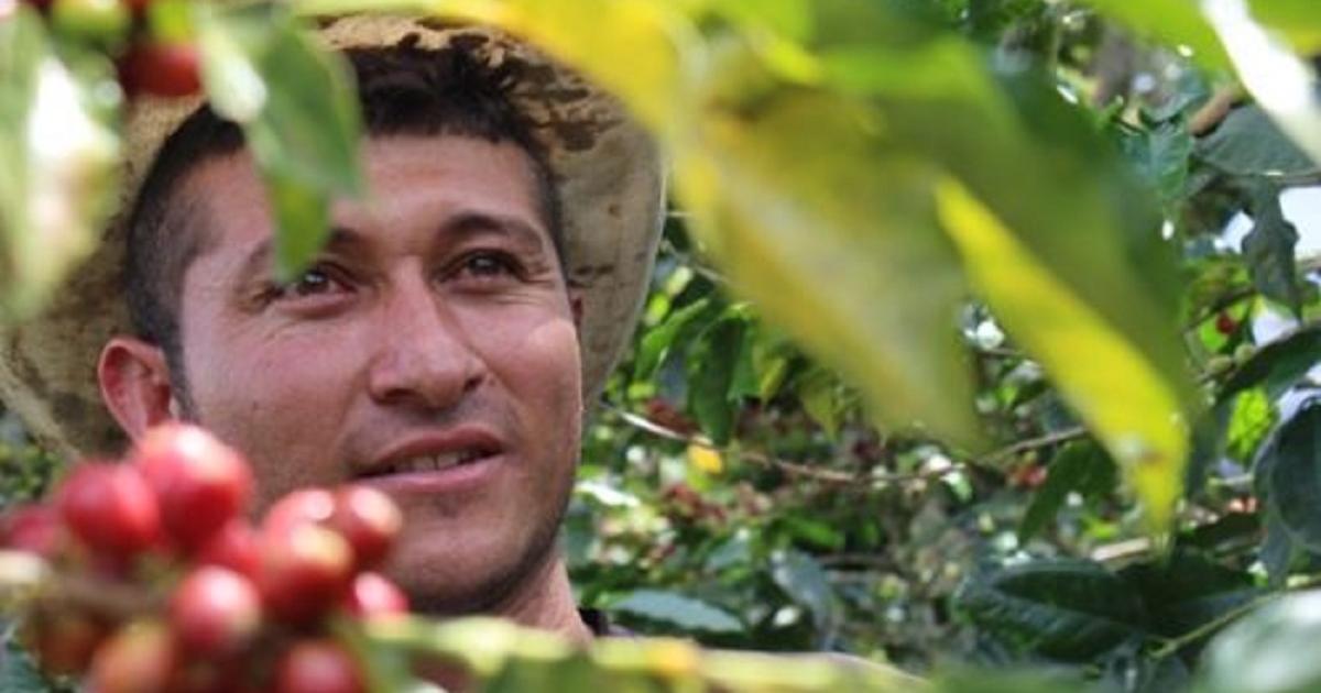 Noticias Antioquia: El Comité de Cafeteros registra millonaria inversión