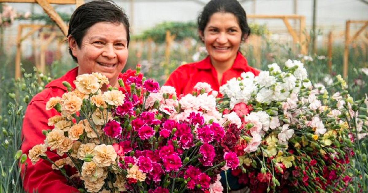 Noticias Antioquia: El segundo departamento con el mayor número de mujeres