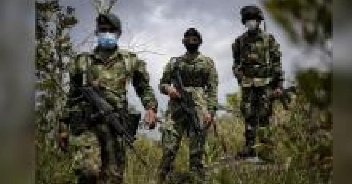 Noticias Antioquia: Impuesto de seguridad se podrá pagar virtualmente