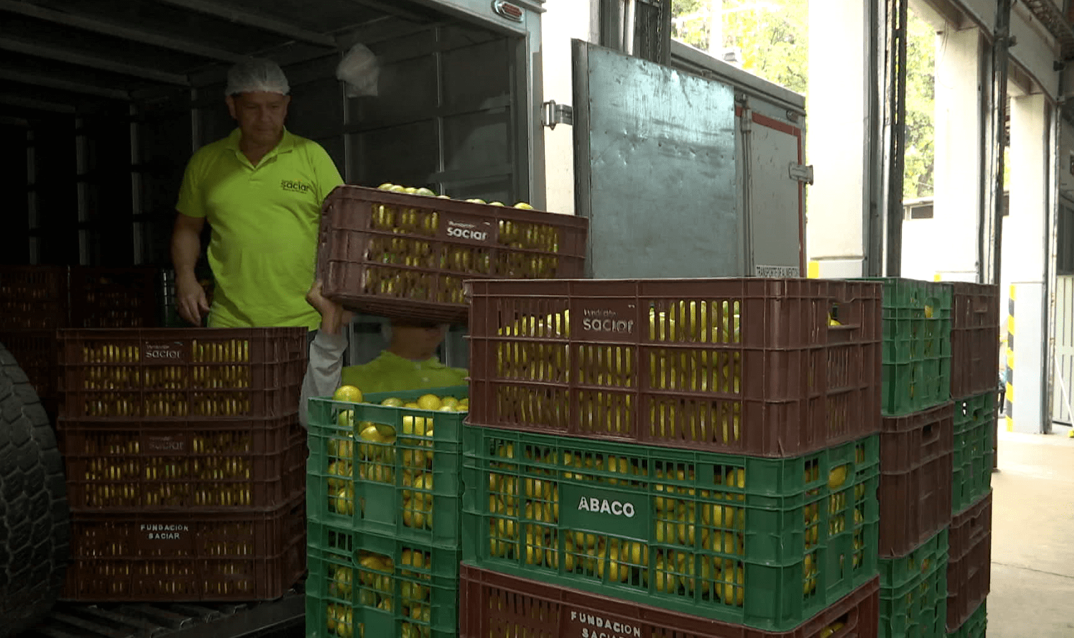 ¿Cómo funciona un banco de alimentos? Noticias Telemedellín le cuenta