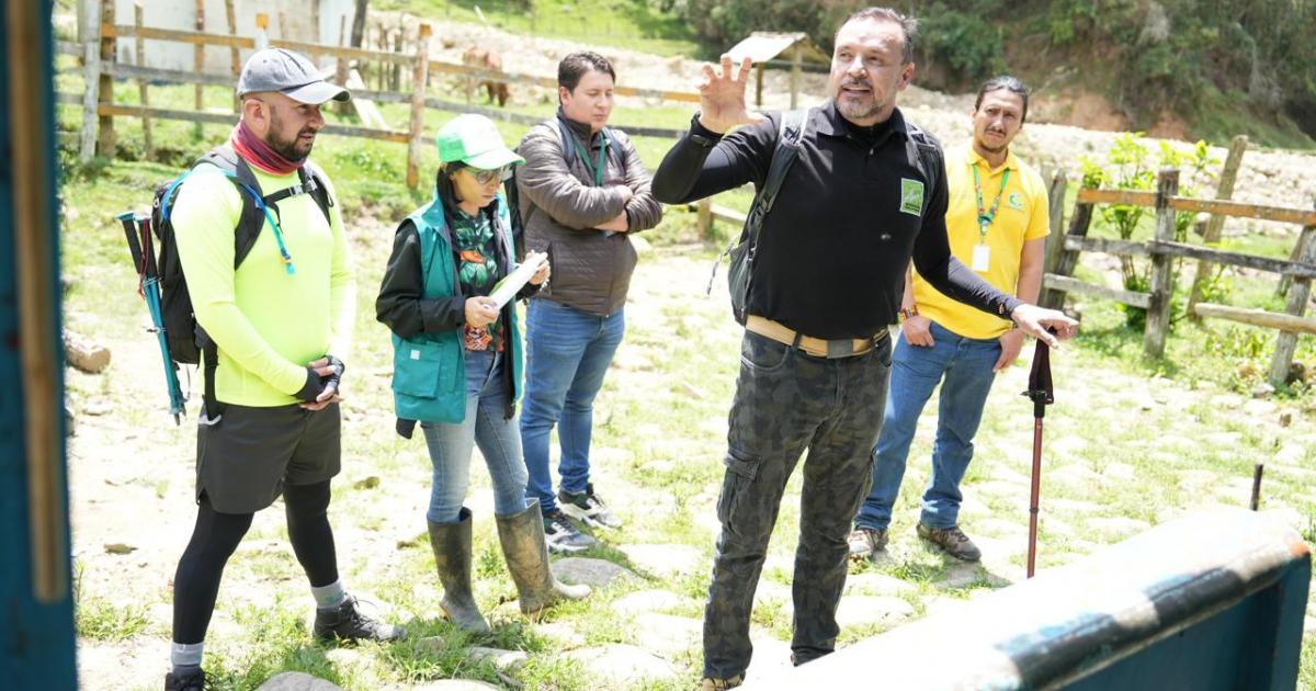 Noticias Antioquia: Un puma fue avistado en el Suroeste y Oriente