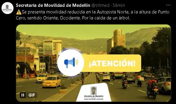 Hay paso lento en la Autopista Norte por caída de árbol durante la tarde lluviosa