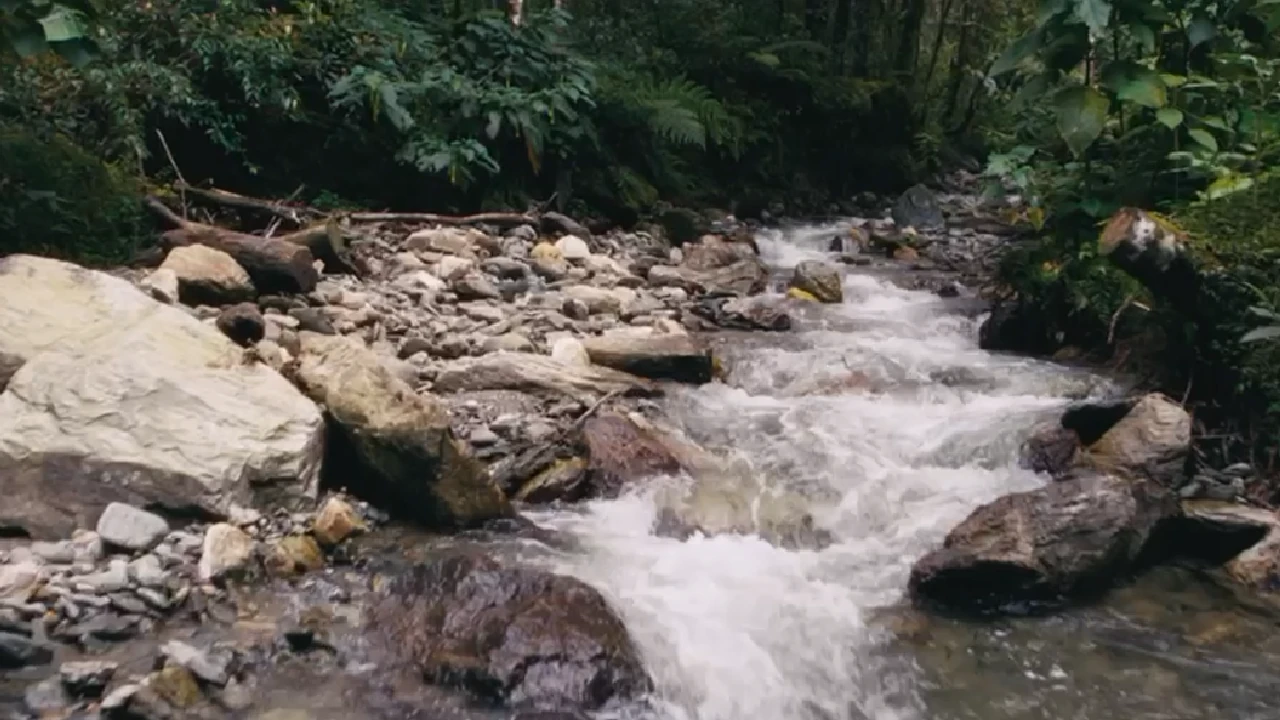 medellin-recupera-hectareas-verdes-promueve-biodiversidad4