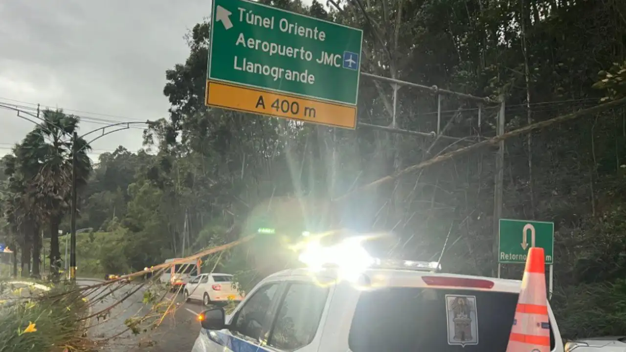 Tres árboles cayeron por lluvias en Medellín y afectaron la movilidad
