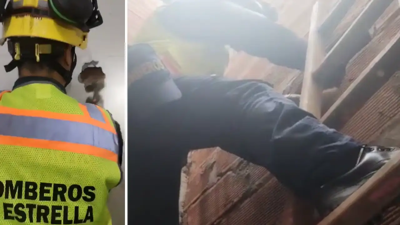 En La Estrella, bomberos rescataron a un gatico que pasó todo un día atrapado entre dos paredes