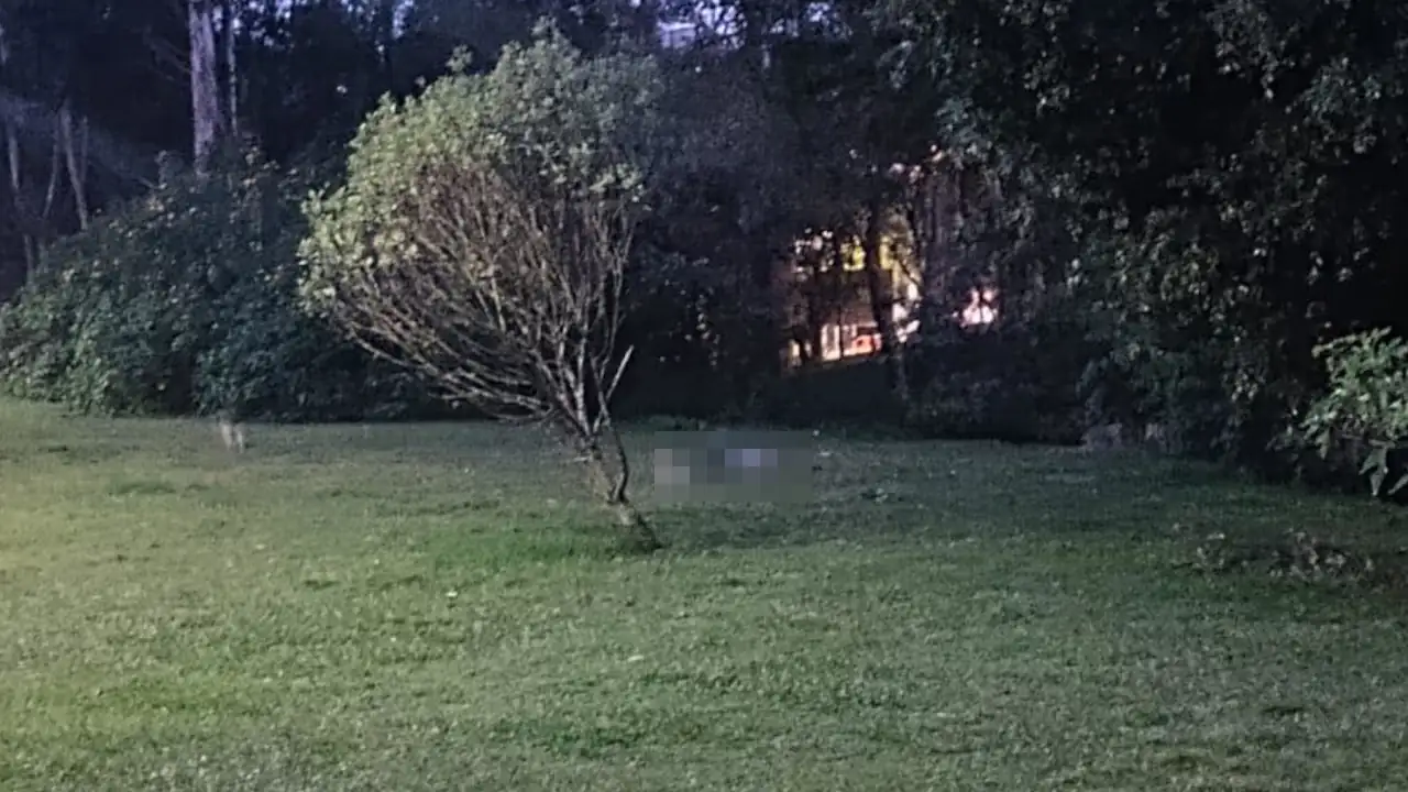 [Foto] Le decían ‘Rata’: fue identificado el joven asesinado en la noche del 22 de julio
