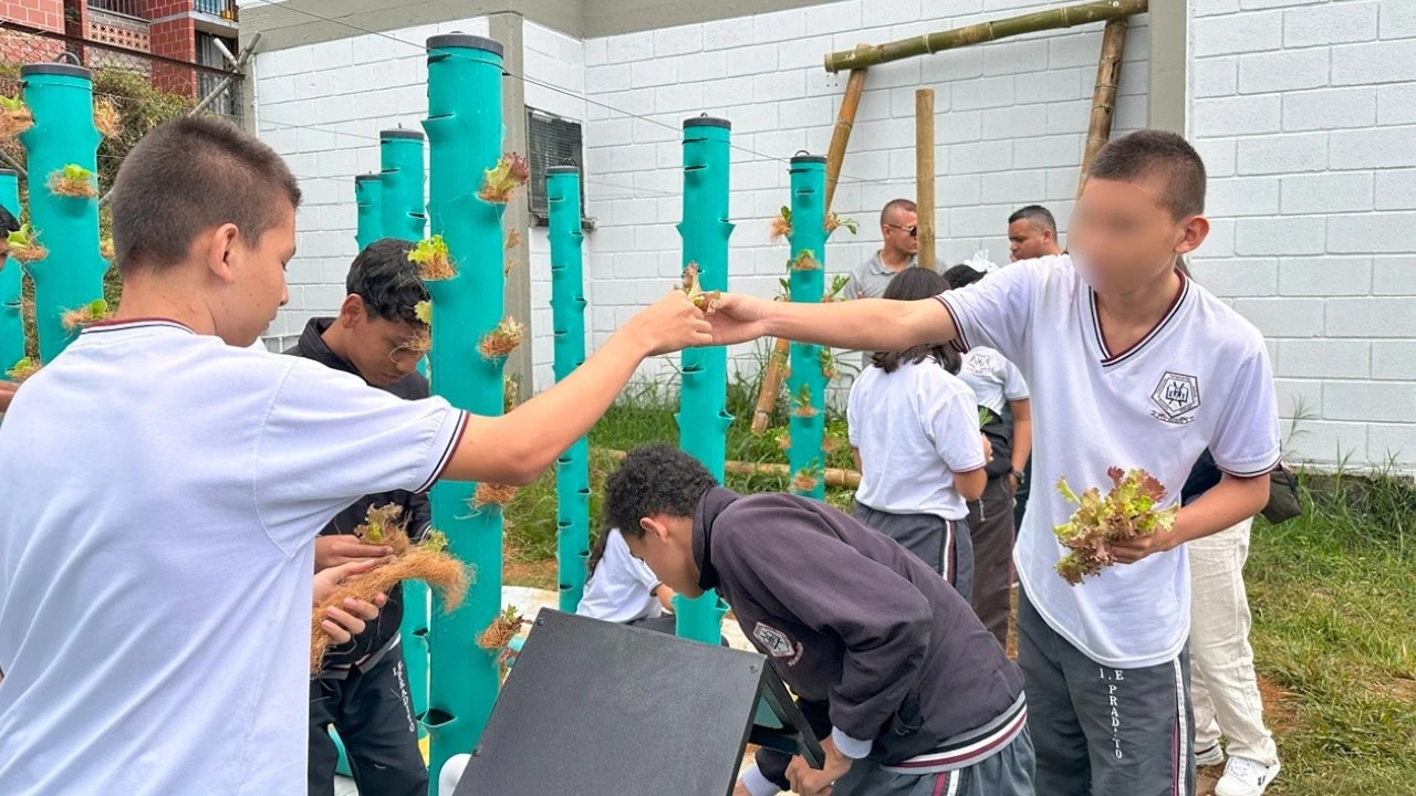 Fortalecer la educación rural: Medellín impulsa la innovación agropecuaria entre los jóvenes rurales
