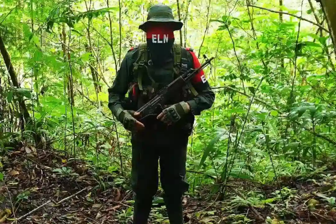 ELN anuncia paro armado de 72 horas en todo el país