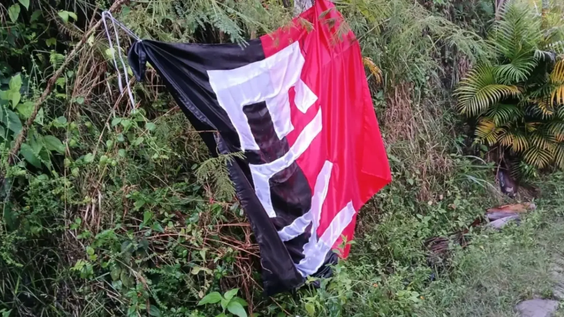 Condenados cabecillas del ELN por el secuestro de Salud Hernández y otros periodistas en el Catatumbo