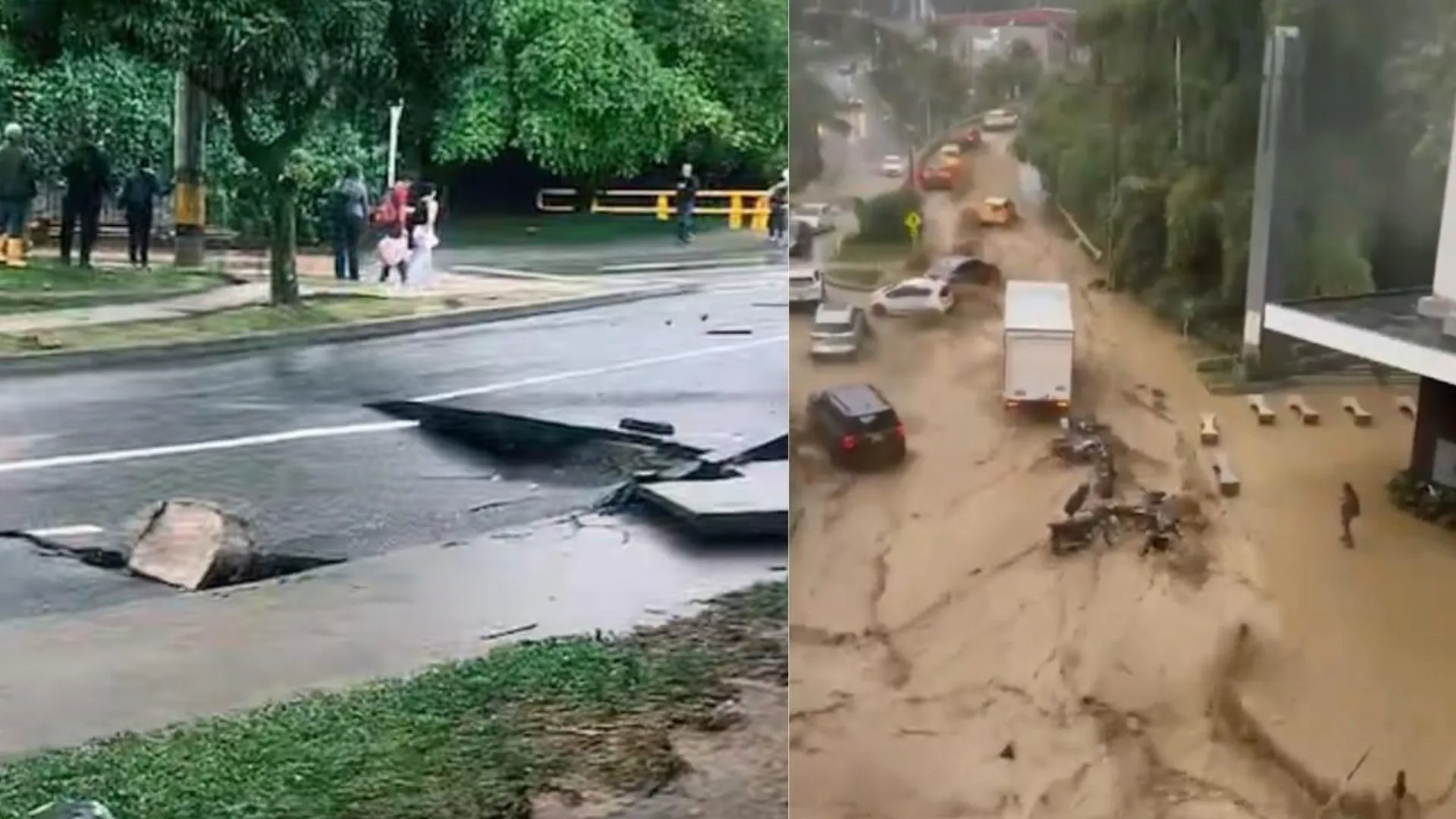 Árboles caídos y muros colapsados: el saldo de las fuertes lluvias que sacudieron El Poblado
