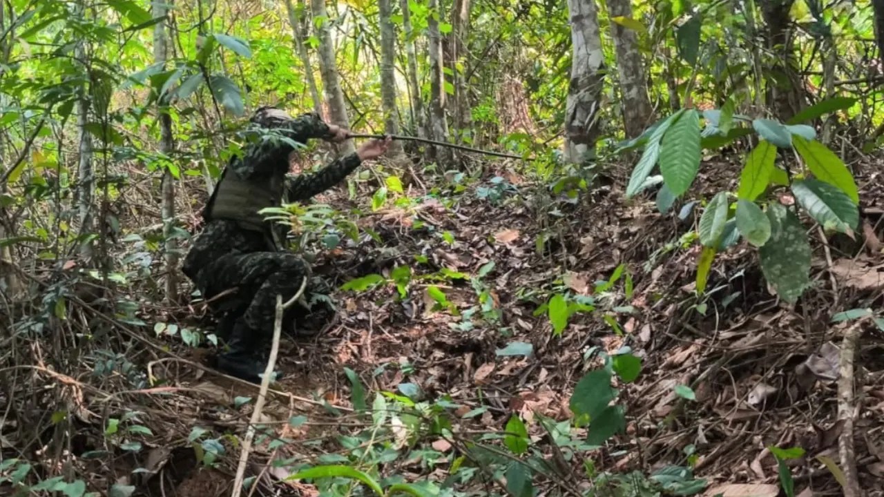 Ejército destruye cuatro explosivos que estaban instalados muy cerca de un corregimiento en Anorí, Antioquia