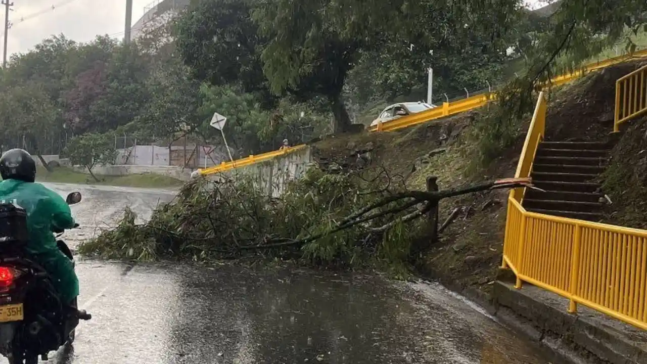 afectación en deprimido Feria de Ganado