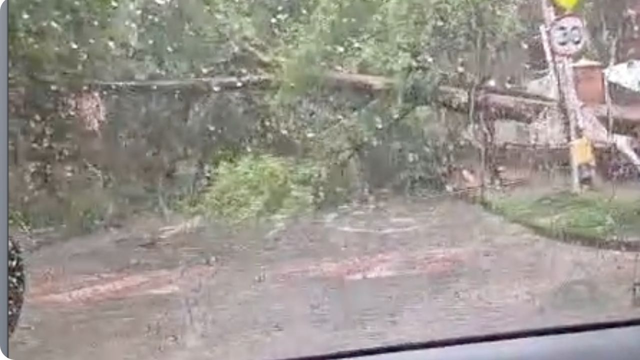 El aguacero tiene árboles en el suelo y la quebrada La Presidenta inundada en El Poblado