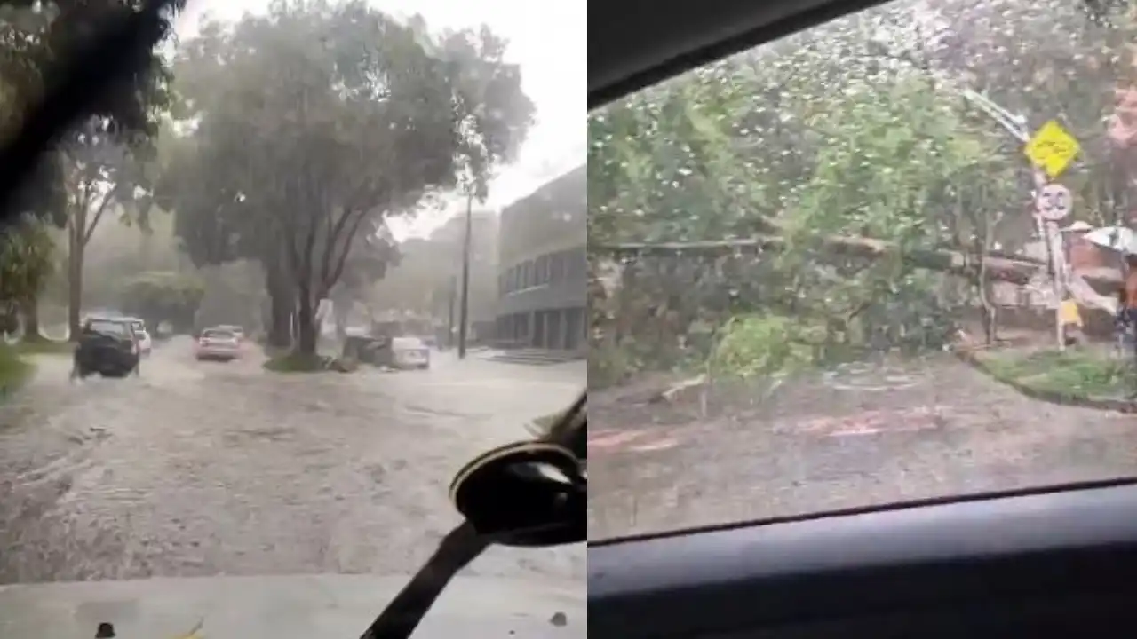 Lluvias generan inundaciones y caída de árbol en Medellín
