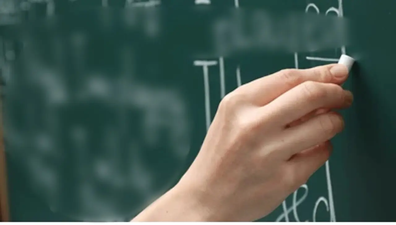 profesor maestro