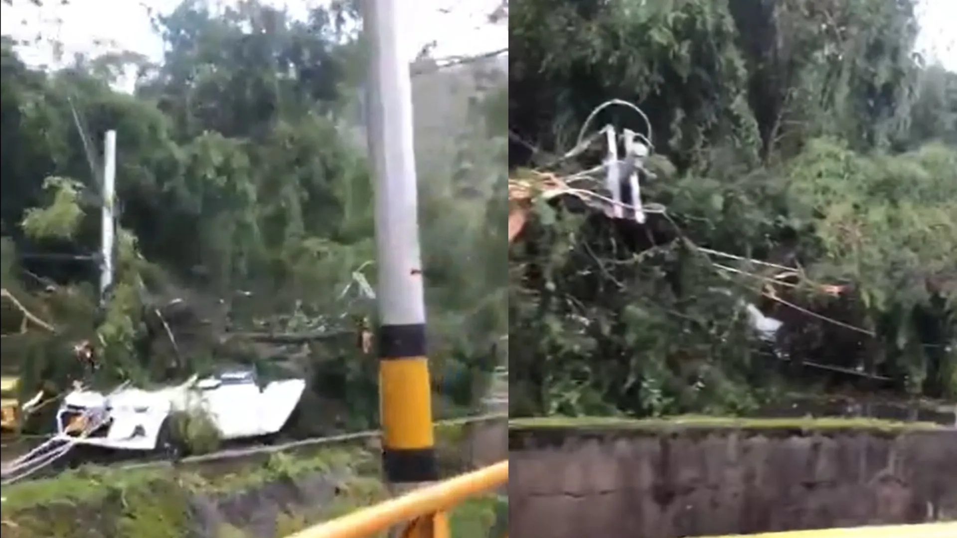 ¡Caos total en el sur! Árboles y poste caídos obligan cierre en la variante Caldas en sentido sur–norte