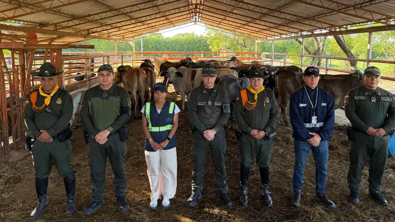 En cucuta restringe la entrada de 28 cabezas de ganado, provenientes de venezuela, sin la documentación reglamentaria