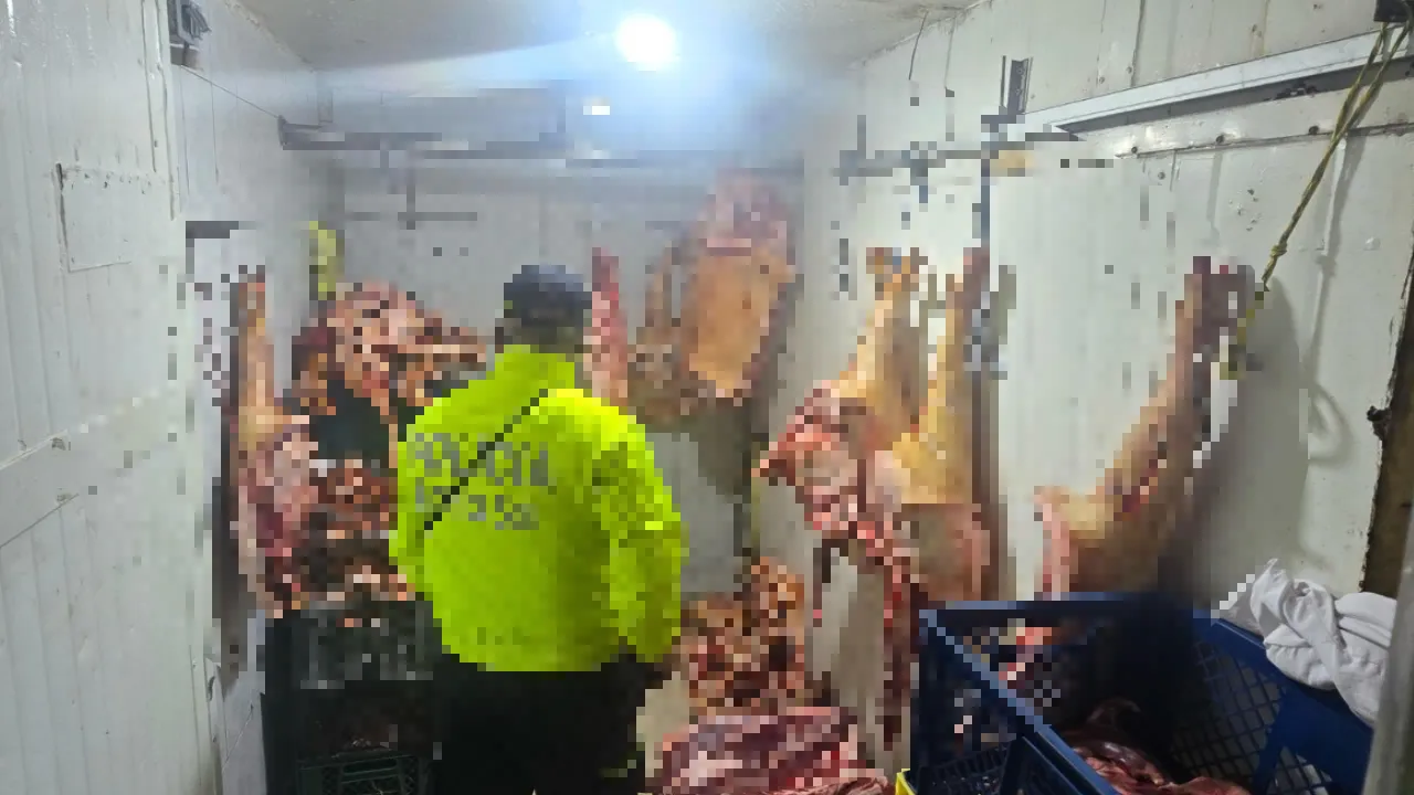 ¡Iba a terminar en su mesa! Incautan casi tres toneladas de carne en mal estado en Medellín