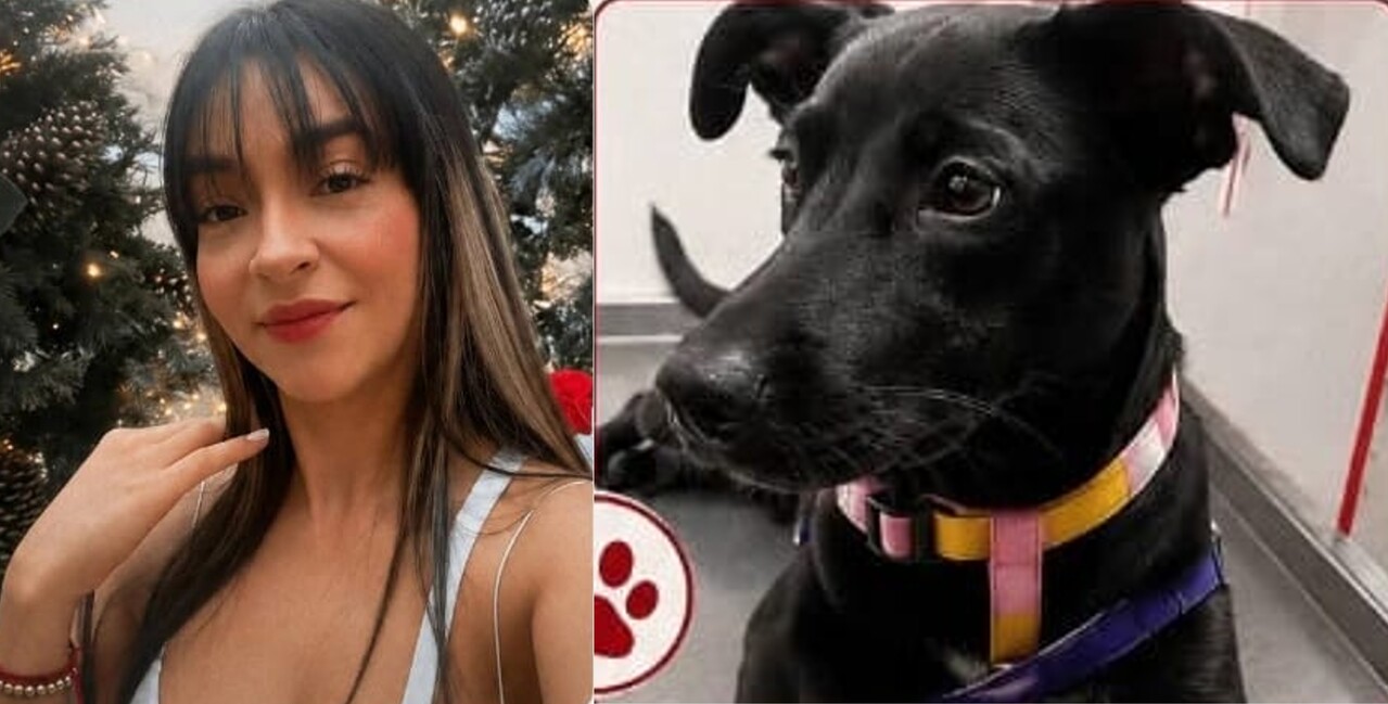 Monica tomó un taxi, en compañía de su perrita lulú, en Ciudad de México el 5 de julio y nunca volvió a aparecer: las buscamos urgente