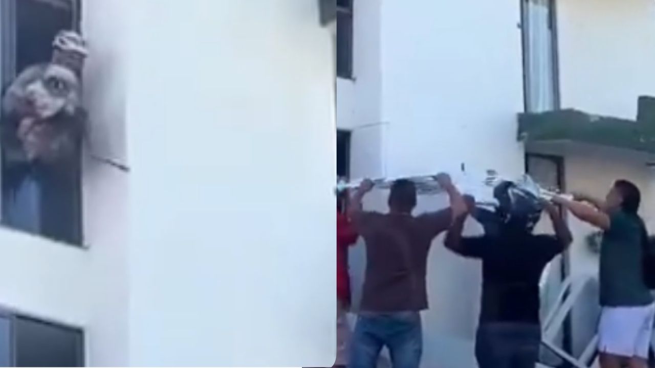 ¡Siguen las historias de esperanza en medio de la emergencia! Un perro fue rescatado en Risaralda